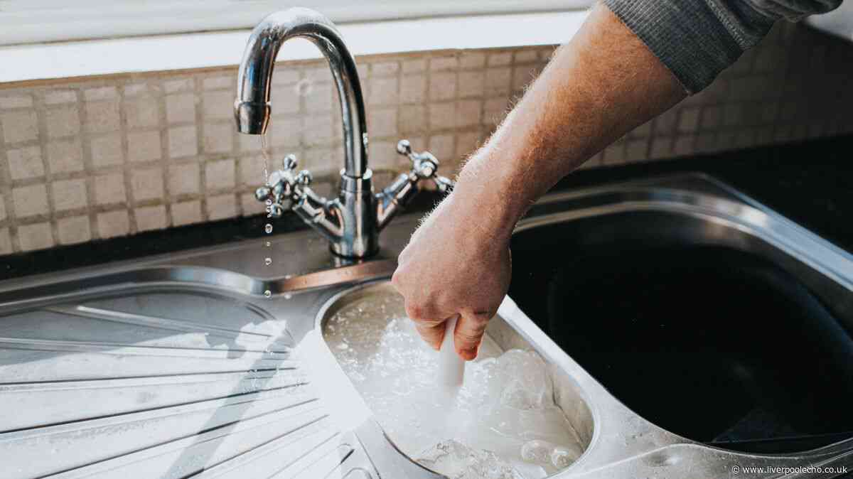 Deep clean kitchen sink and drains in seconds with natural item — not vinegar