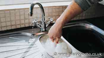 Deep clean kitchen sink and drains in seconds with natural item — not vinegar