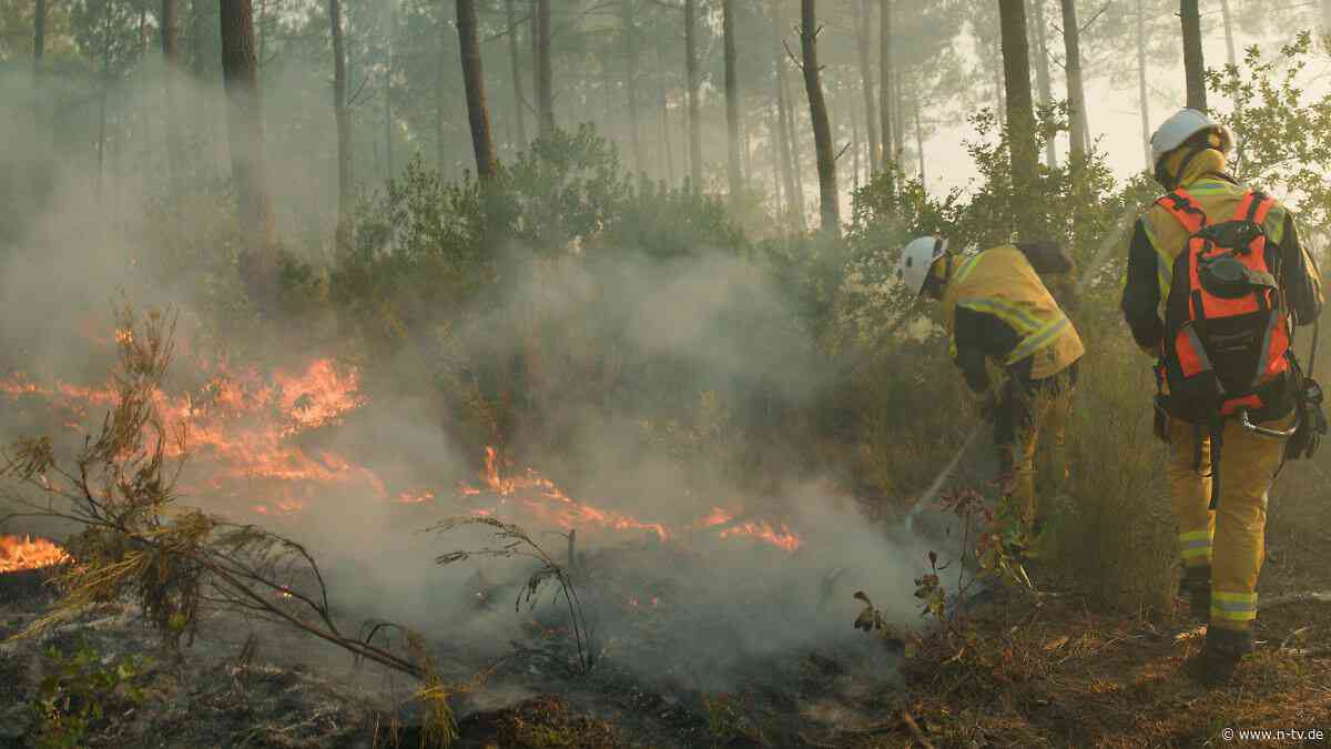 Schwelen unter der Erde: "Zombiefeuer" bleiben nach Waldbränden monatelang gefährlich