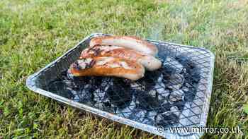 Fire chief tells Brits 'go to the pub' amid disposable barbecue warning as wildfires rage