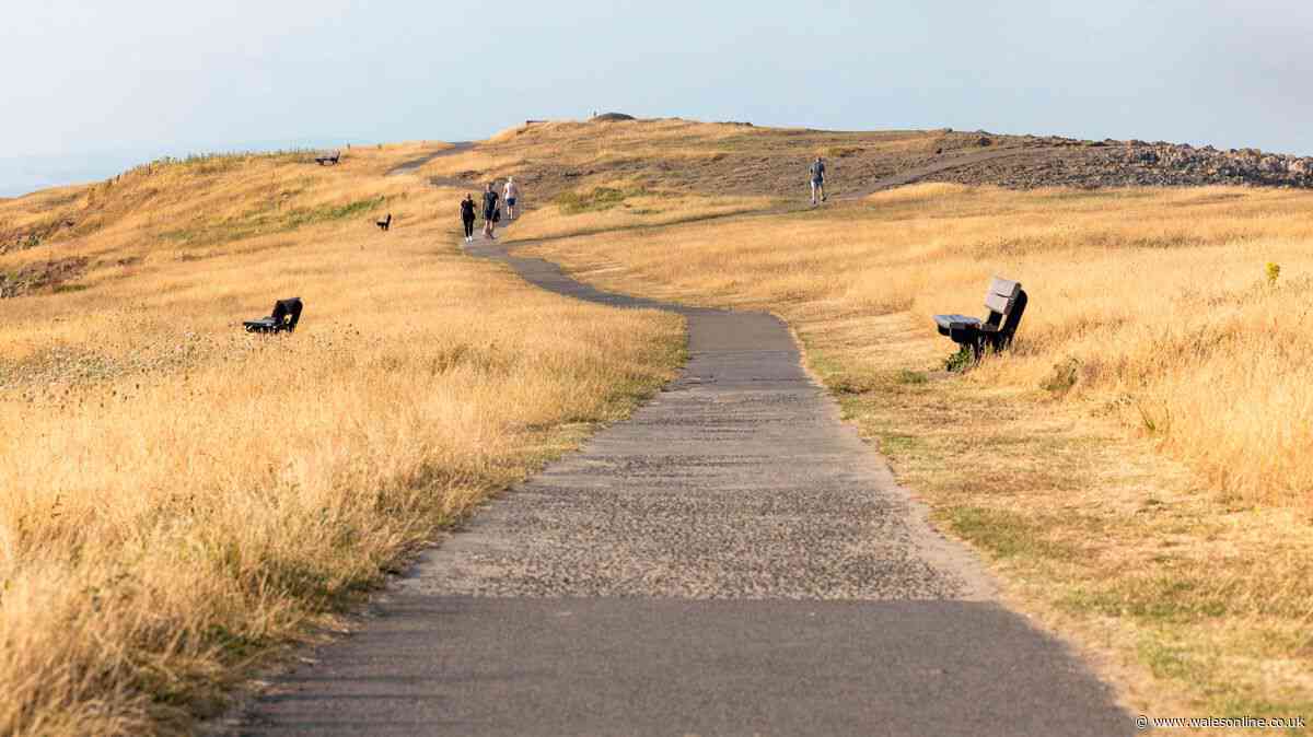 Drought declared across whole of Wales