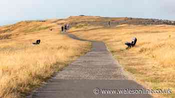 Drought declared across whole of Wales