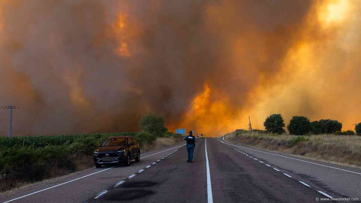 LIVE | Spaanse natuurbrand bij grens Portugal verwoest 11.000 hectare in 24 uur: ’Tunnel van vlammen’