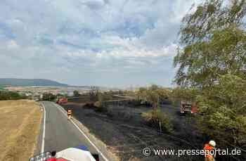 POL-PIROK: Flächenbrand im Bereich der K43