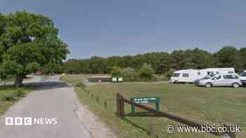 Pony warning after girl injured at forest campsite