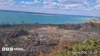 Heathland fire damage is 'heartbreaking'