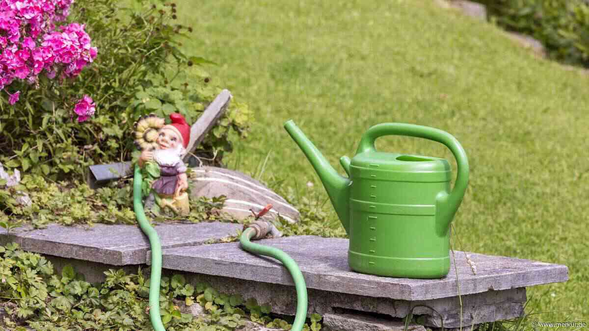 Nicht gießen, nicht Unkraut zupfen: Das ist die wichtigste Gewohnheit für einen gesunden und bunten Garten