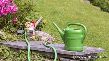 Nicht gießen, nicht Unkraut zupfen: Das ist die wichtigste Gewohnheit für einen gesunden und bunten Garten