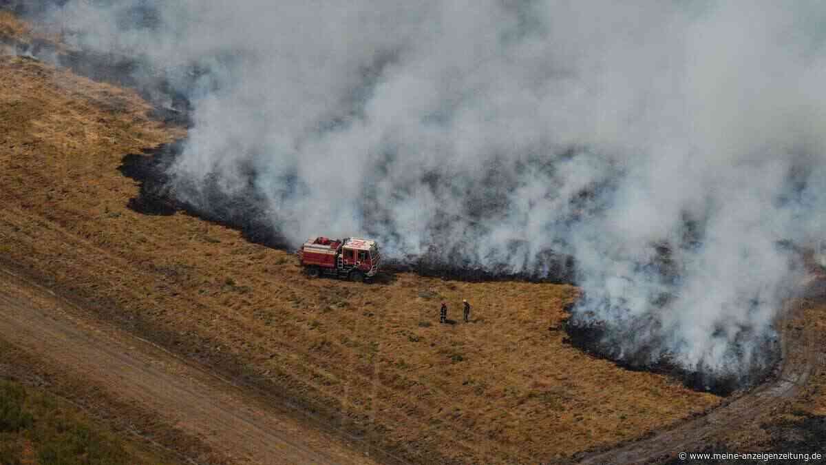 Studie: Waldbrand-Risiko in Südeuropa ist stark gestiegen