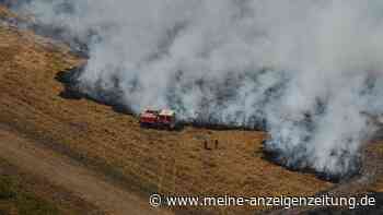 Studie: Waldbrand-Risiko in Südeuropa ist stark gestiegen