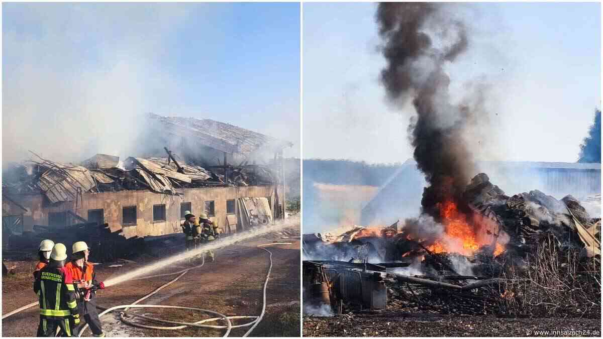 Hallen stürzen ein, sieben Verletzte, viele Rinder tot: Feuer-Inferno auf Bauernhof in Bayern
