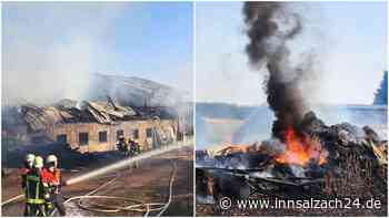 Hallen stürzen ein, sieben Verletzte, viele Rinder tot: Feuer-Inferno auf Bauernhof in Bayern