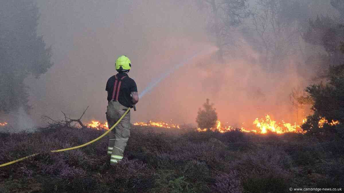 Nuclear power station 'monitoring wildfire' as blaze sees dozens evacuated