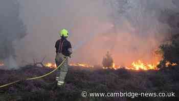 Nuclear power station 'monitoring wildfire' as blaze sees dozens evacuated