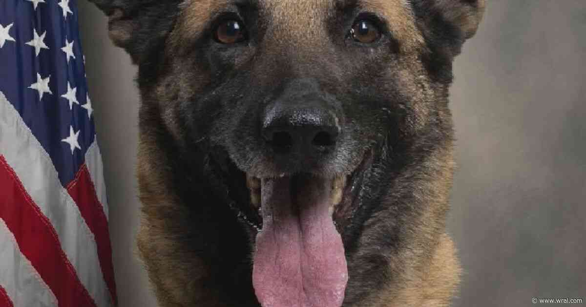 Greenville city officials speak out after Pitt County K9 officer dies in hot car