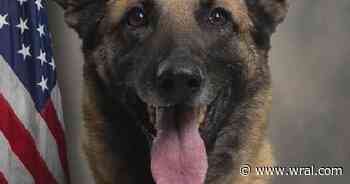 Greenville city officials speak out after Pitt County K9 officer dies in hot car