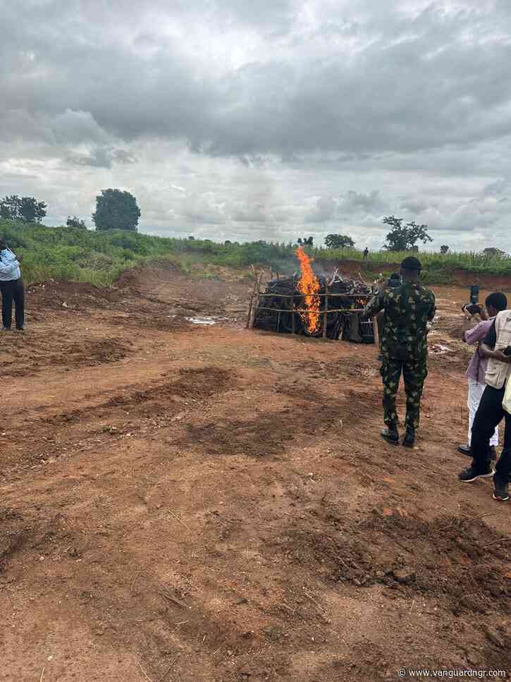 Nigeria destroys 19,000 illicit weapons, shows commitment to security — Ribadu