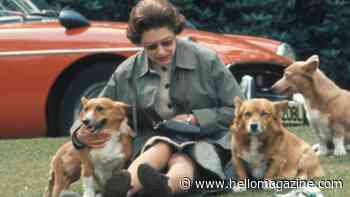 Queen Elizabeth's strict instructions for solitary evenings with corgis Muick and Sandy