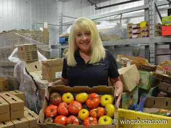 Food insecurity in Windsor-Essex is growing, say public health units and food banks