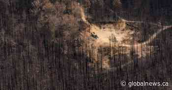 Ontario wildfire situation moving in ‘reassuring direction’ despite heat