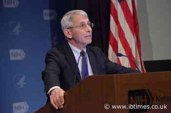Why Did Dr Anthony Fauci Invoke the Fifth Amendment During Rand Paul's Senate Hearing?