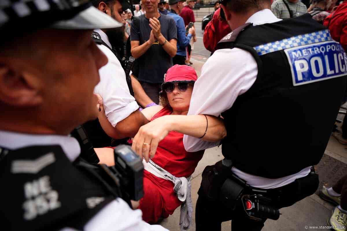 Scores arrested at London Palestine Action demo as co-founder told she can challenge terror ban at Supreme Court