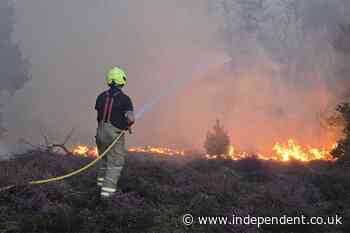 Hundreds evacuated and nuclear power plant on alert as Suffolk heathland wildfire rages