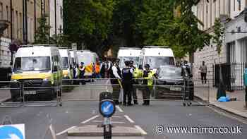 Palestine Action's ban as 'terror group' goes to Supreme Court as 77 arrested in London