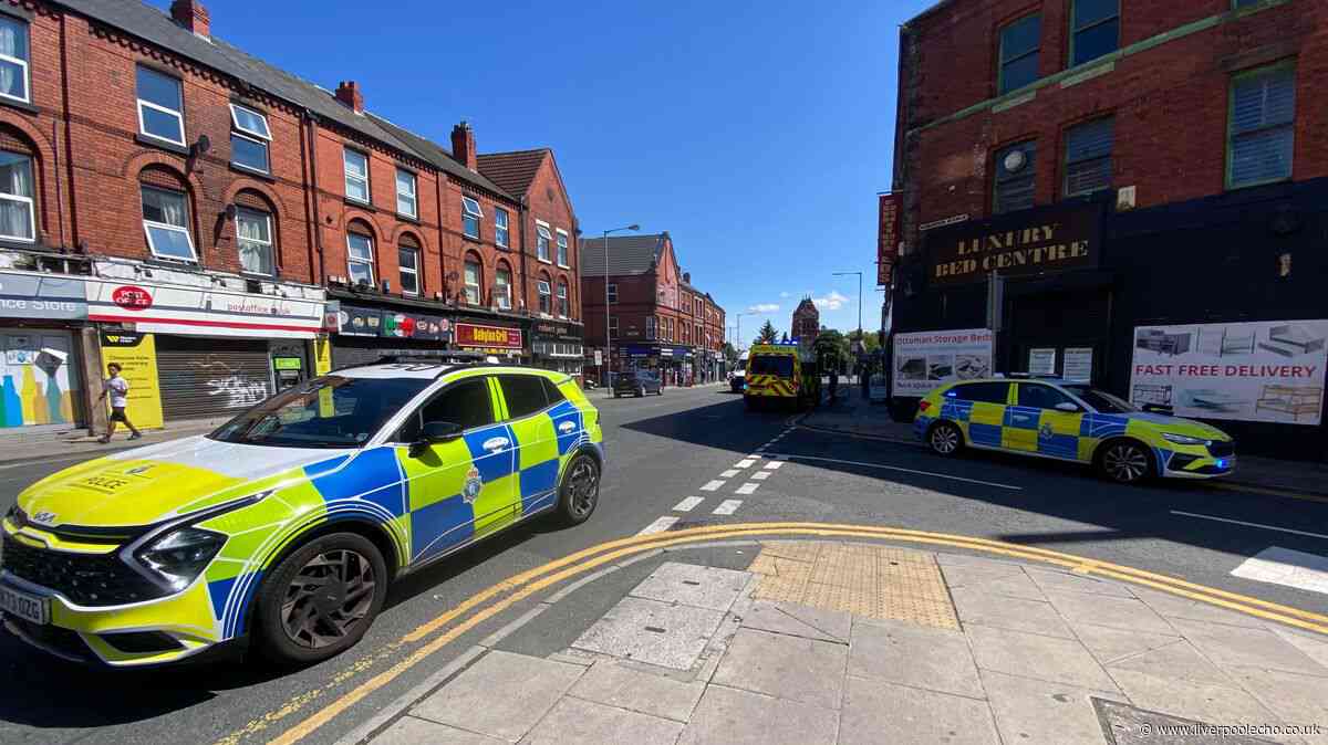 Smashed glass, metal bars and 'petrifying' scenes in Smithdown Road street fight