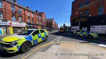 Smashed glass, metal bars and 'petrifying' scenes in Smithdown Road street fight