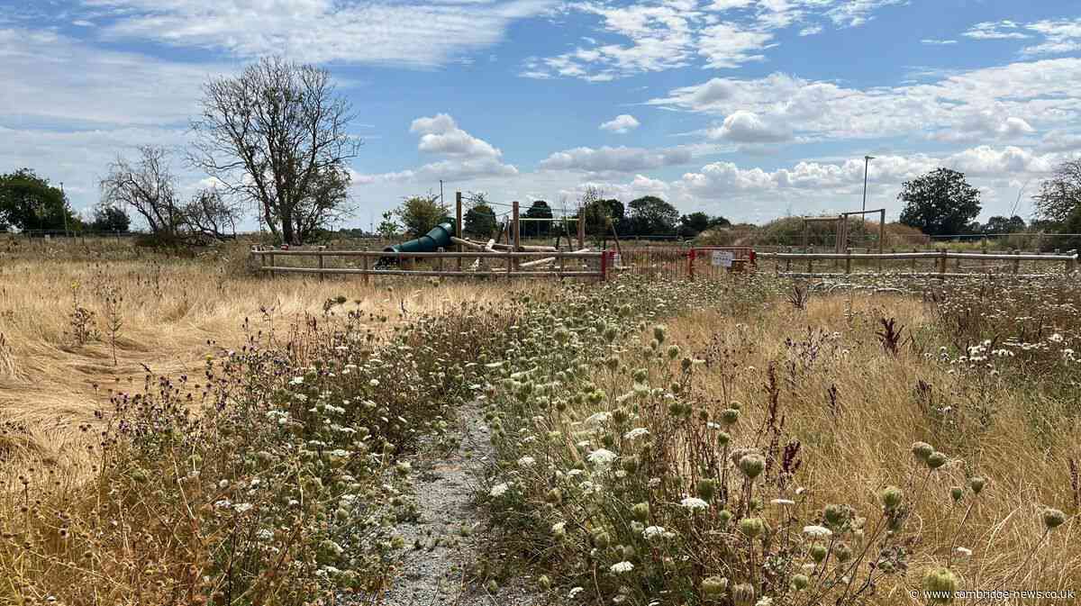 Residents paying hundreds per year for new estate maintenance dub it ‘living hell’