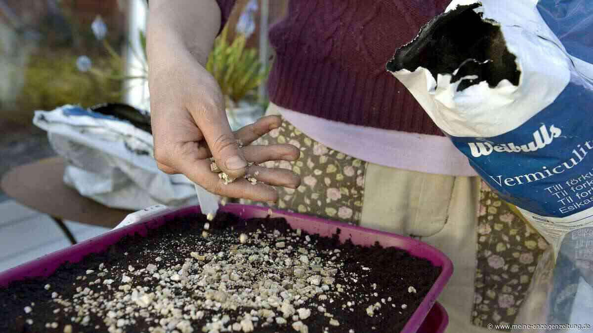 Vermiculite: Dieses unscheinbare Granulat macht Ihre Gartenerde deutlich besser