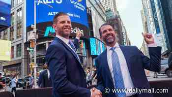 Trump family crypto investments net millions while investors suffer steep losses and company sheds name