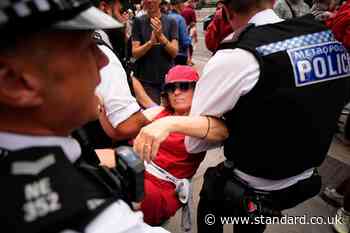 Over 100 arrested at London Palestine Action demo as co-founder told she can challenge terror ban at Supreme Court