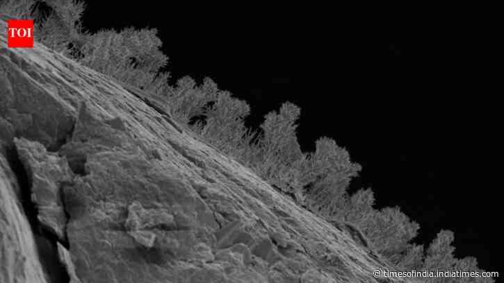 Scientists drilled 1,640 feet beneath Michigan and found 689 kinds of fungi living in water