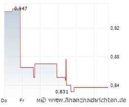 Strong Drilling Results from Banyan Gold, Newcore Gold, and Southern Cross Gold