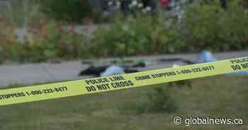 Investigation underway into early morning police shooting in Calgary