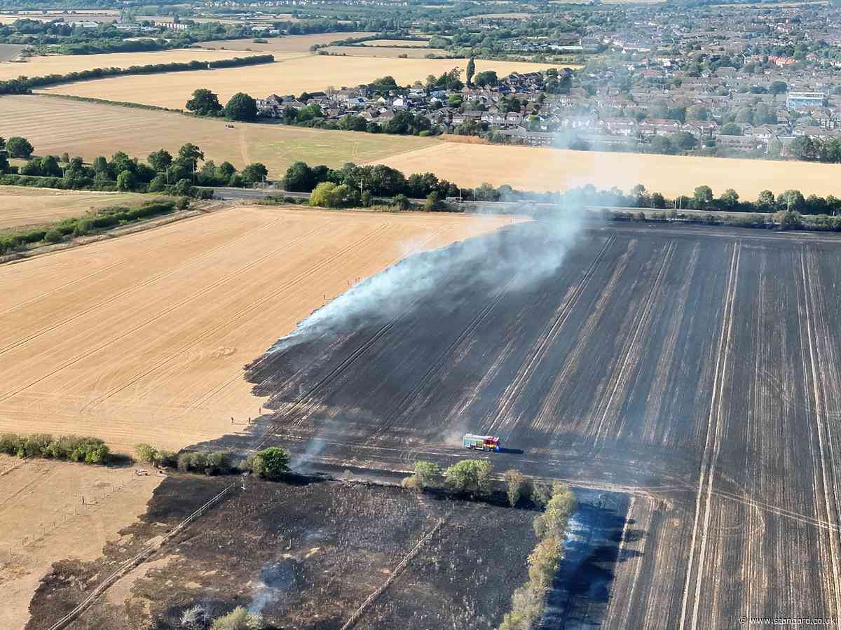 London weather LIVE: Man dies after rescue from sea in Essex as capital faces wildfires in drought