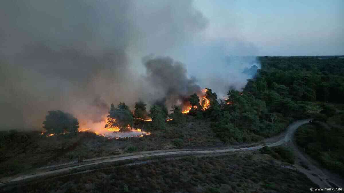 Waldbrand in England wütet nahe Atomkraftwerk – Anwohner und Urlauber evakuiert