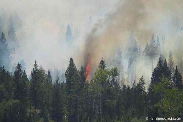 BCWS, Logan Lake crews battled wildfire overnight, remains 88 hectares