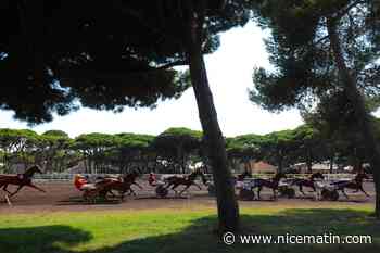 Huit courses au trot en semi-nocturne à l’hippodrome de Hyères ce vendredi 31 juillet