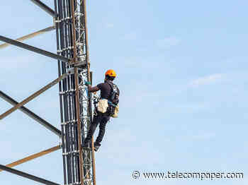 Iraq deploys 48 teams to monitor telecom services during Arbaeen pilgrimage