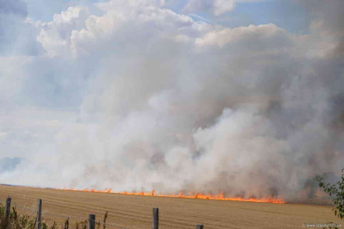 London weather LIVE: New wildfires rage in capital as worst drought in decades grips city