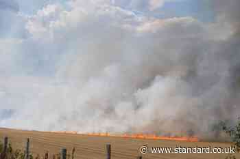 London weather LIVE: New wildfires rage in capital as worst drought in decades grips city