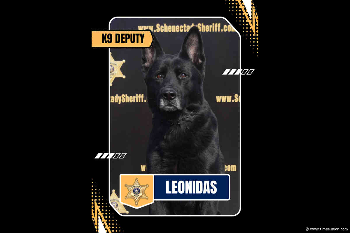 Schenectady K-9 death linked to faulty battery