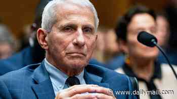 Senator escalates next move against Dr Anthony Fauci after explosive hearing