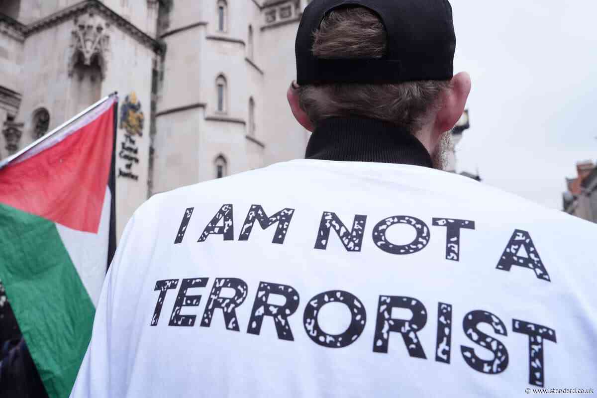 Palestine Action terror ban challenge to go to Supreme Court as 117 arrested