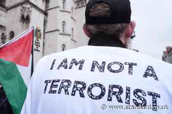 Palestine Action terror ban challenge to go to Supreme Court as 117 arrested