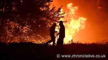 Greece wildfire horror as Brit tourists flee blaze that killed three firefighters