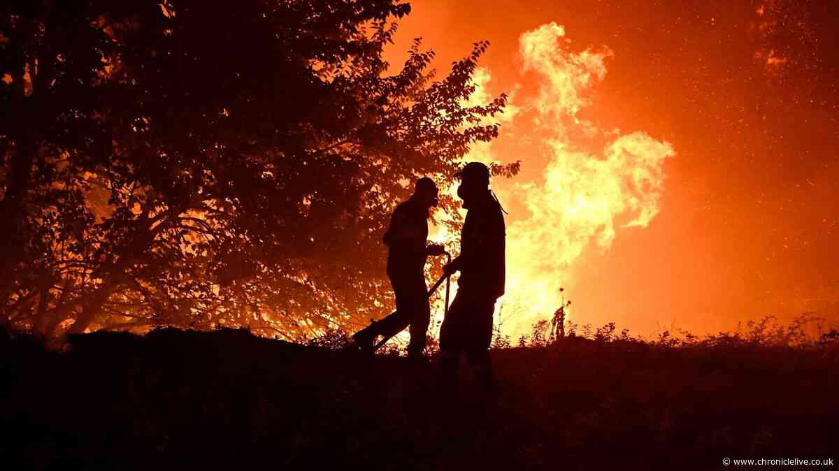 Greece wildfire horror as Brit tourists flee blaze that killed three firefighters